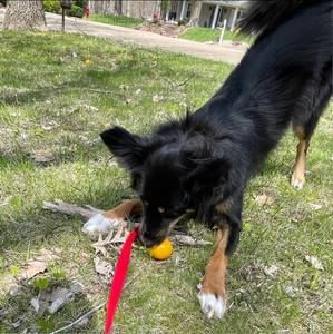 Meet your Posher, Kelly